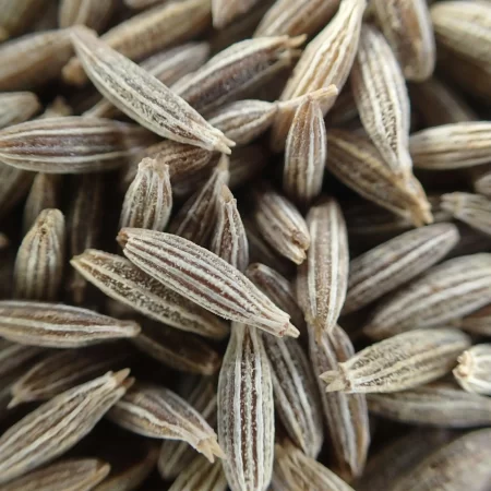 black cumin(kinnauri zeera)